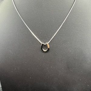 Horseshoe pendant in plain silver on a silver chain.